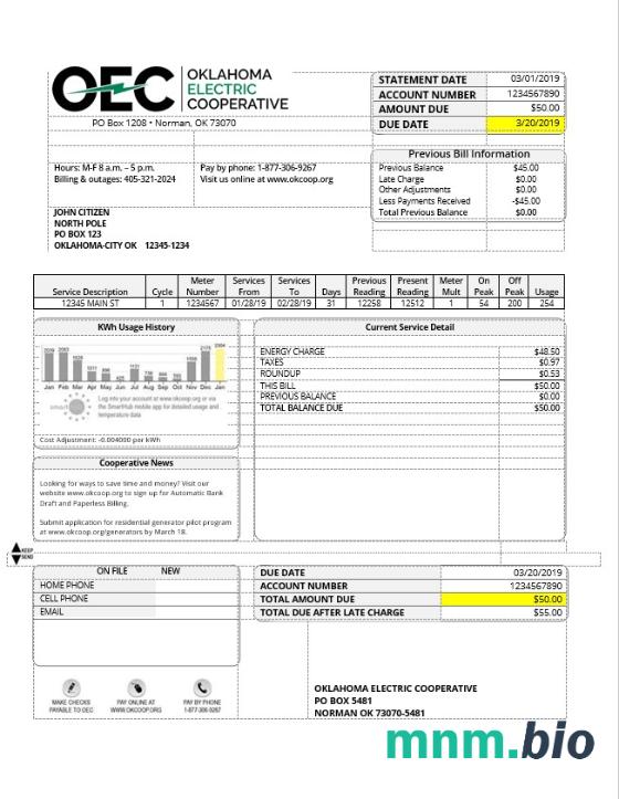 Szablon rachunku za energię elektryczną USA OEC w formacie Word i PDF